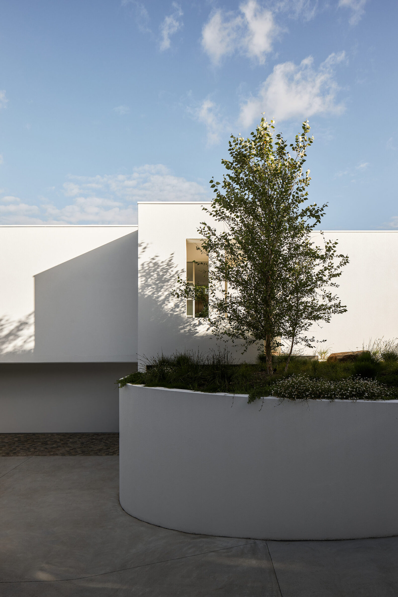 currawong house