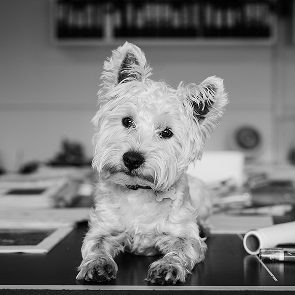 Winnie Davis Architects